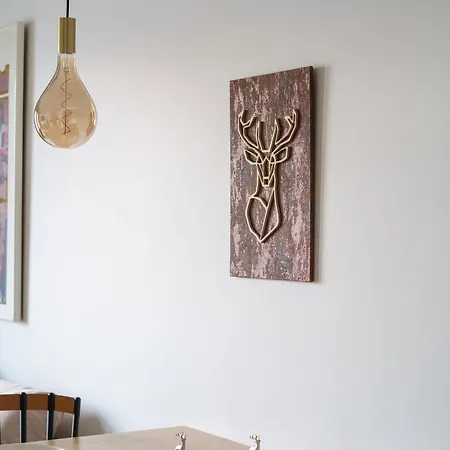 Koru, Finnish Design By Lapland Host רובניימי